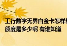 工行数字无界白金卡怎样看到额度 请问工行无界白金数字卡额度是多少呢 有谁知道