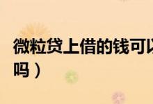 微粒贷上借的钱可以分期还吗（微粒贷上征信吗）
