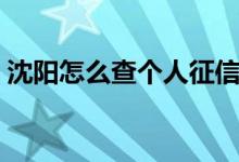 沈阳怎么查个人征信（沈阳怎么查个人医保）