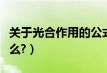 关于光合作用的公式（光合作用的总公式是什么?）