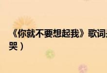 《你就不要想起我》歌词是什么（为什么张杰唱哭、维嘉听哭）