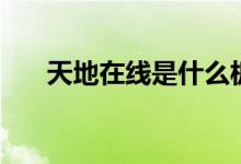 天地在线是什么板块股票（哪个题材）