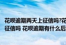花呗逾期两天上征信吗?花呗逾期有什么后果 花呗逾期3天上征信吗 花呗逾期有什么后果