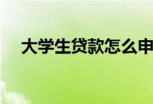 大学生贷款怎么申请（大学生贷款平台）