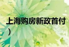 上海购房新政首付（上海新政商住房首付多少）