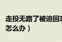 走投无路了被迫回家还有意义么（走投无路了怎么办）