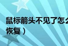 鼠标箭头不见了怎么找（鼠标箭头不见了怎么恢复）