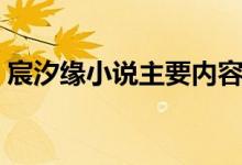 宸汐缘小说主要内容（宸汐缘源自什么小说）