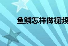 鱼鳞怎样做视频（鱼鳞怎样炸着吃）