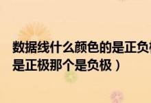 数据线什么颜色的是正负极（手机数据线里那个颜色的小线是正极那个是负极）