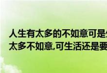 人生有太多的不如意可是生活还是要继续是什么歌（人生有太多不如意,可生活还是要继续是哪首歌的歌词）