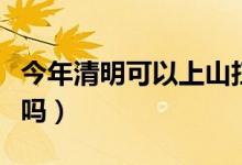 今年清明可以上山扫墓吗（今年清明可以扫墓吗）