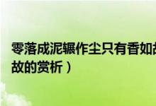 零落成泥辗作尘只有香如故意思（零落成泥辗作尘,只有香如故的赏析）