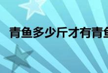 青鱼多少斤才有青鱼石（青鱼多少钱一斤）