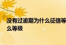 没有过逾期为什么征信等级是c 个人征信c级什么意思 有什么等级