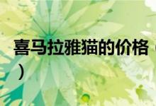 喜马拉雅猫的价格（最便宜的一般多少钱一只）