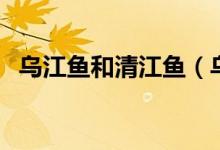 乌江鱼和清江鱼（乌江鱼和清江鱼的区别）