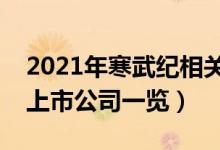 2021年寒武纪相关上市公司有哪些（寒武纪上市公司一览）