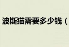 波斯猫需要多少钱（波斯猫需要多少钱一只）