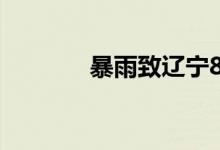 暴雨致辽宁8地发生洪涝灾害