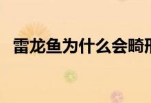 雷龙鱼为什么会畸形（雷龙鱼为什么吃好）