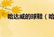 哈达威的球鞋（哈达威的鞋为什么叫喷）