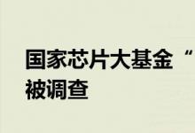 国家芯片大基金“80后”投资部高管杨征帆被调查