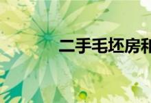  二手毛坯房和新毛坯房的区别 