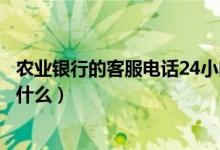农业银行的客服电话24小时开通吗（农业银行的客服电话是什么）