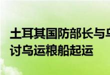 土耳其国防部长与乌基础设施部部长通电话商讨乌运粮船起运