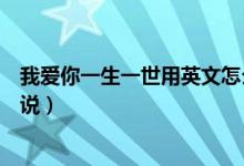 我爱你一生一世用英文怎么写（我爱你一生一世用英文怎么说）