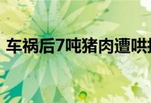 车祸后7吨猪肉遭哄抢（损失达到近30万元）