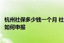 杭州社保多少钱一个月 社保缴费以后多久可以查询社保缴费如何申报 