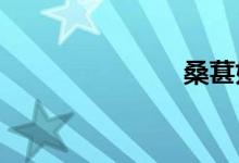  桑葚如何清洗 