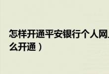 怎样开通平安银行个人网上银行（中国平安银行网上银行怎么开通）