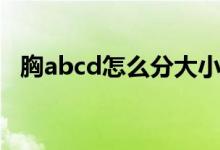 胸abcd怎么分大小（胸abcd怎么分大小）