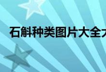 石斛种类图片大全大图（石斛种类有哪些）