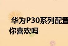  华为P30系列配置信息曝光这样的内存组合你喜欢吗 