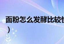 面粉怎么发酵比较快（面粉怎么发酵比较蓬松）