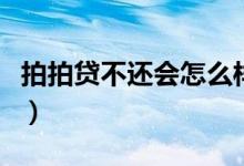 拍拍贷不还会怎么样呀（拍拍贷不还会怎么样）