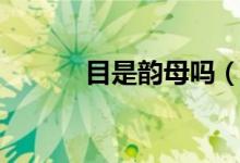 目是韵母吗（目的韵母是什么）