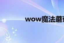 wow魔法蘑菇肉片（怎么做）