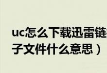 uc怎么下载迅雷链接（uc迅雷有个打开BT种子文件什么意思）