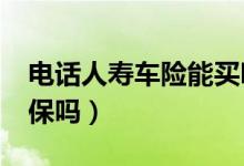 电话人寿车险能买吗?（人寿车险可以电话投保吗）
