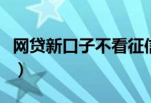 网贷新口子不看征信（不查征信的网贷新口子）