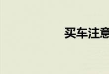 买车注意事项应掌握 