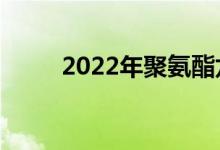 2022年聚氨酯龙头股票有哪些（）
