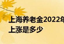 上海养老金2022年会涨是多少 2022年定额上涨是多少 