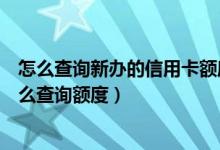 怎么查询新办的信用卡额度（大连银行信用卡申请通过后怎么查询额度）