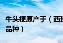 牛头梗原产于（西班牙牛头梗跟牛头梗是一个品种）